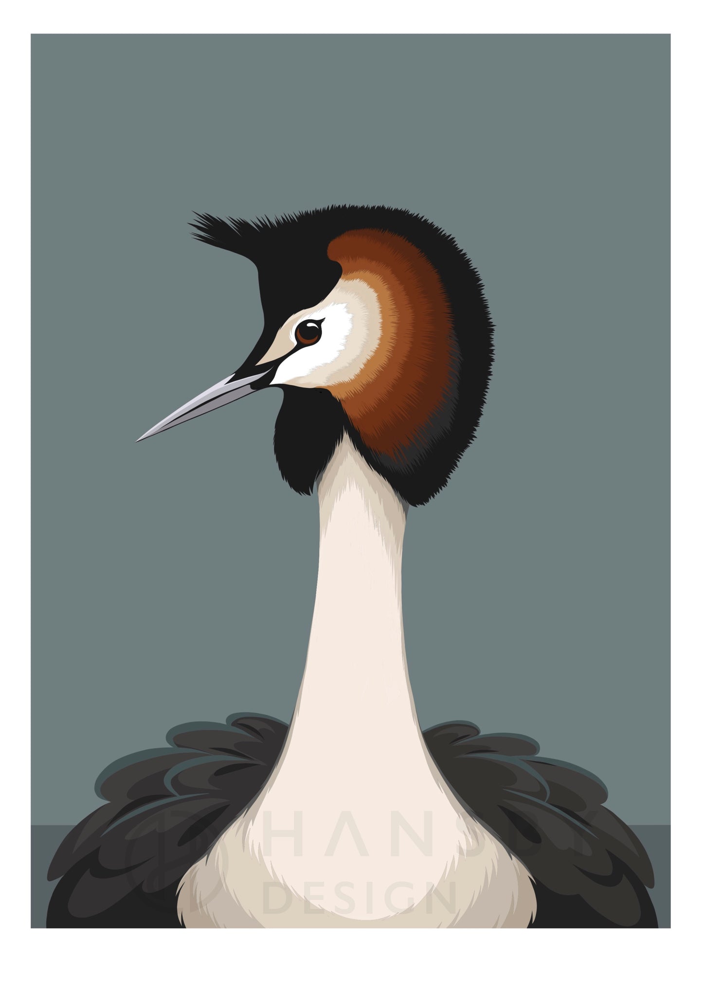 Australasian Grebe art print in white frame, by NZ artist Hansby Design