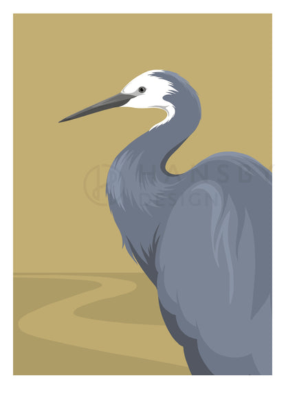Art print of the White faced heron, an estuary bird of New Zealand and Australasia, by Hansby Design