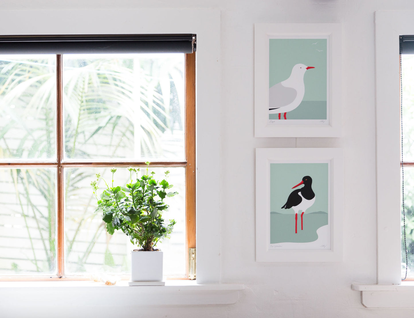 Framed art prints of the Seagull and Oyster Catcher birds of New Zealand, by artist Hansby Design 