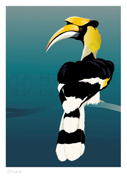 Hornbill bird art print by Hansby Design New Zealand 