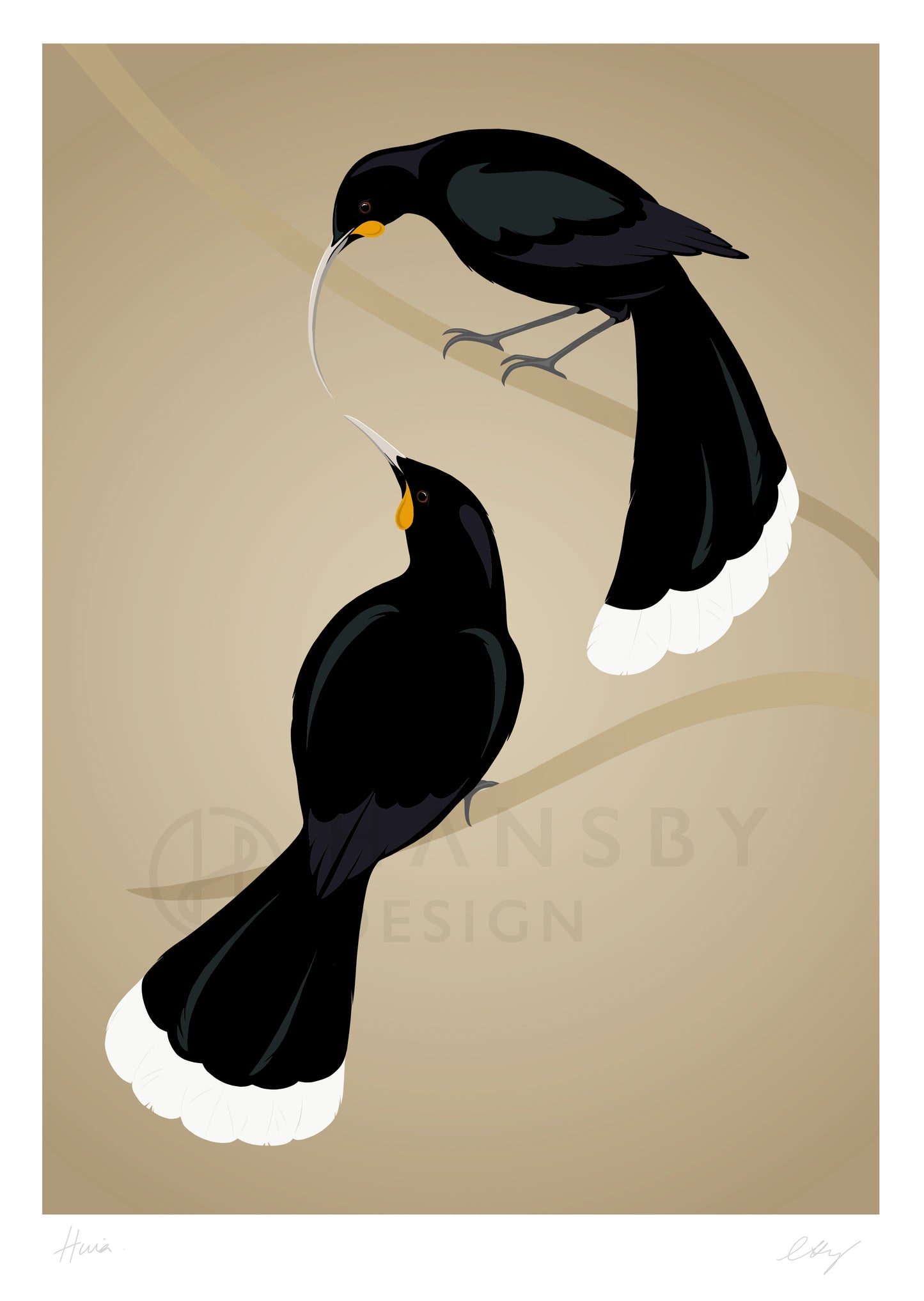 Art print of the Huia pair, by Hansby Design New Zealand
