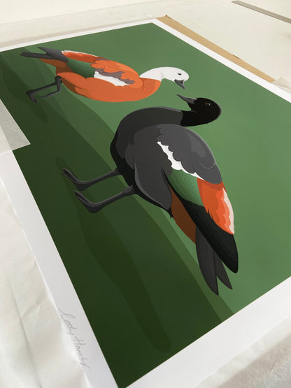 Print detail of the Paradise duck pair by NZ artist, Hansby Design.