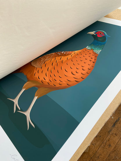 Print detail of the Pheasant art print by Hansby Design, New Zealand artist. 