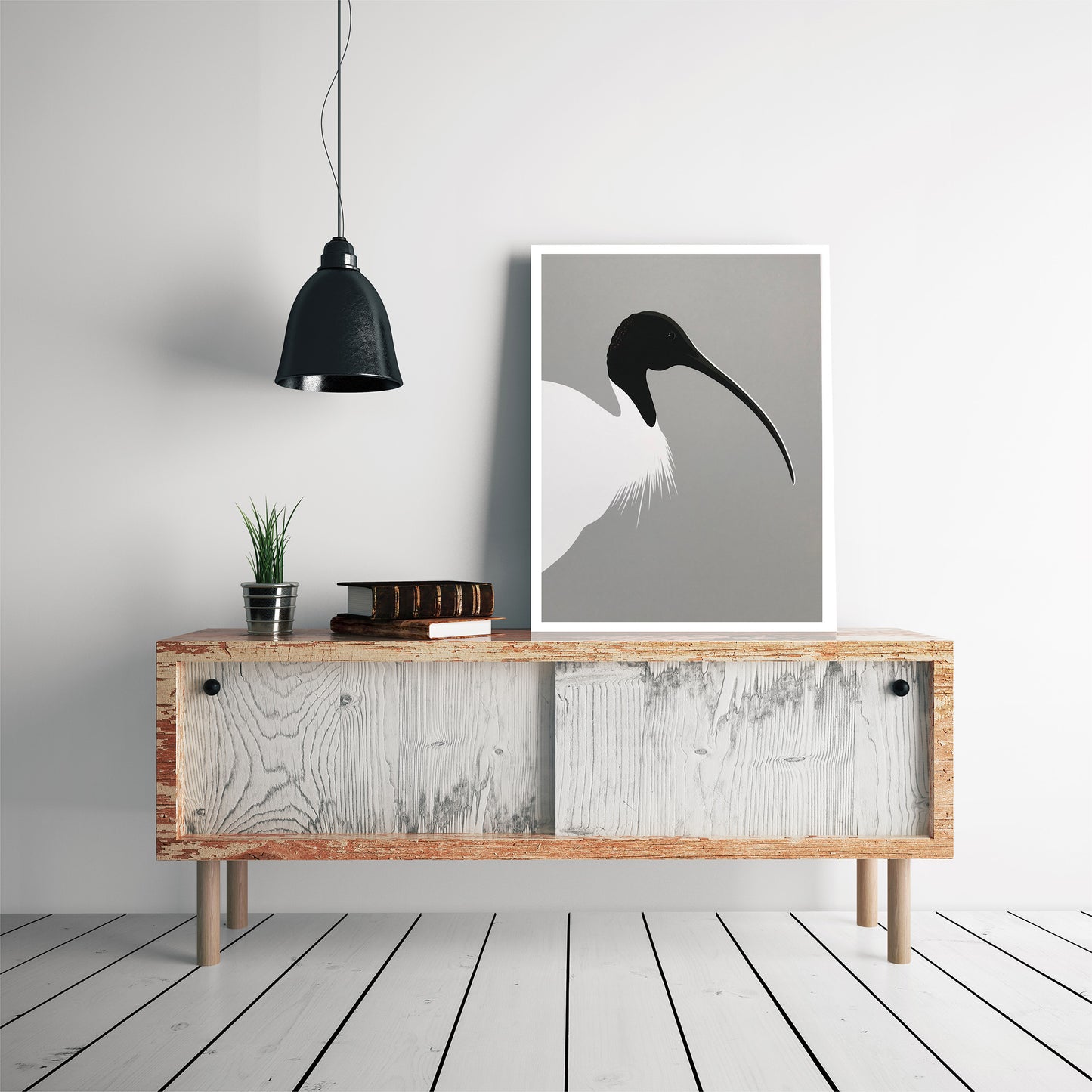 A1 Framed art print of the Australian Ibis bird, by Hansby Design New Zealand 
