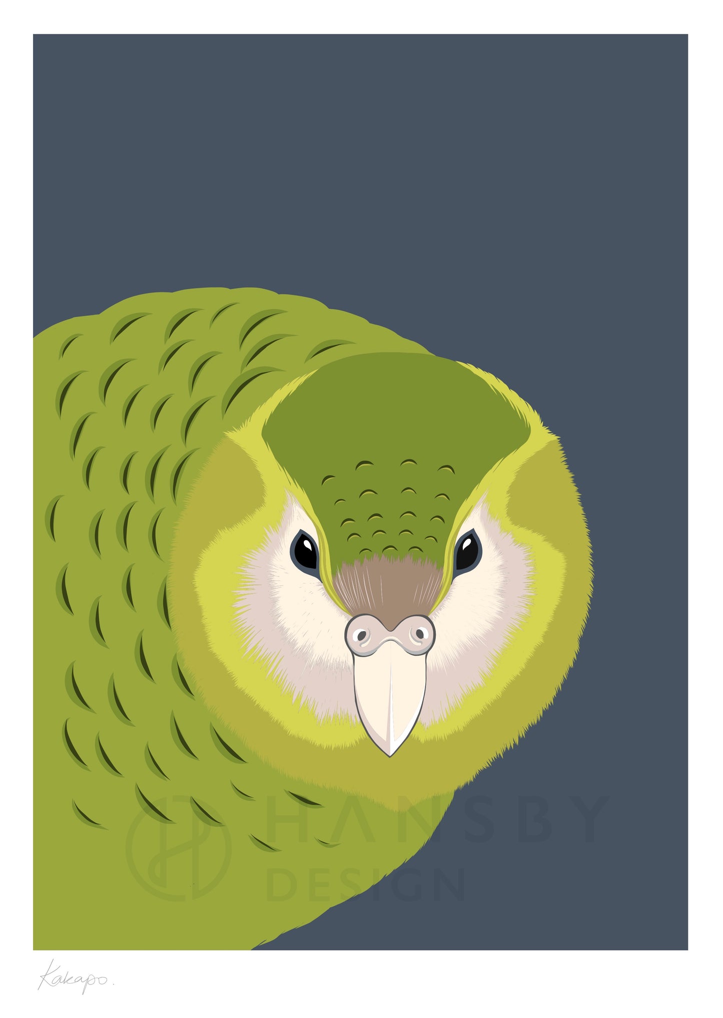 Art print of the Kakapo bird of New Zealand by artist Hansby Design