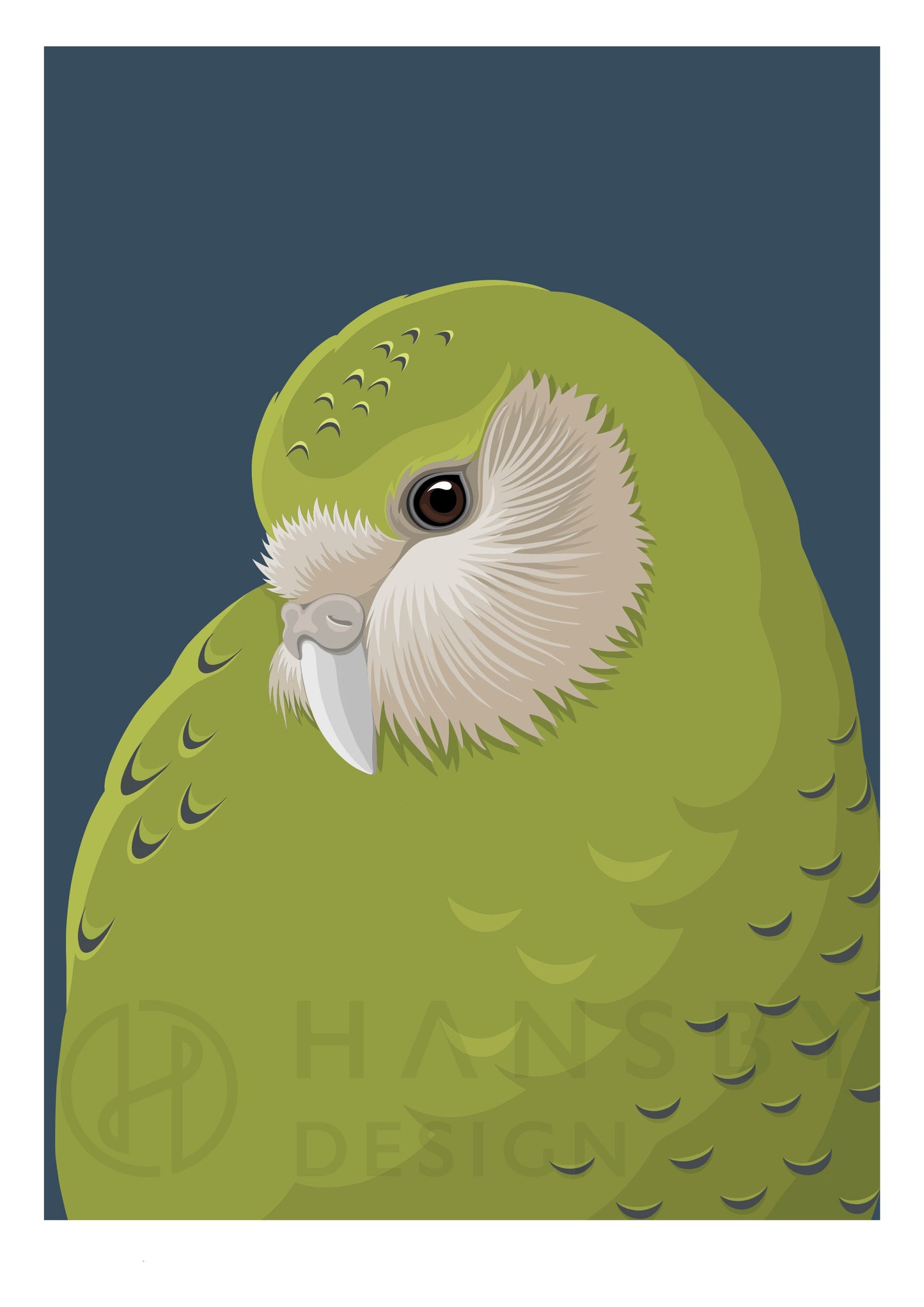 Kākāpō baby