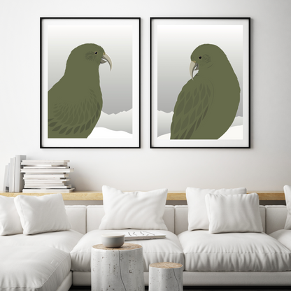 Framed Prints of the New Zealand Kea bird, by artist Hansby Design 