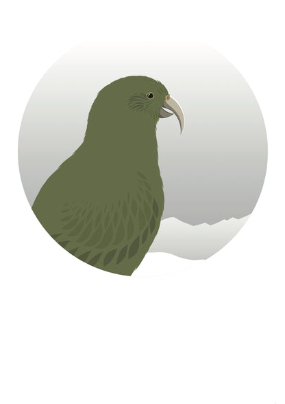 Art spot, wall decal of the Kea bird, mountain parrot of New Zealand by Hansby Design 