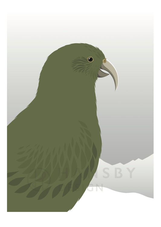 Art print of the Cheeky Kea bird, mountain parrot of New Zealand, by Hansby Design