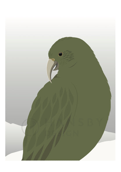 Art print of the Curious Kea bird, mountain parrot of New Zealand, by artist Hansby Design