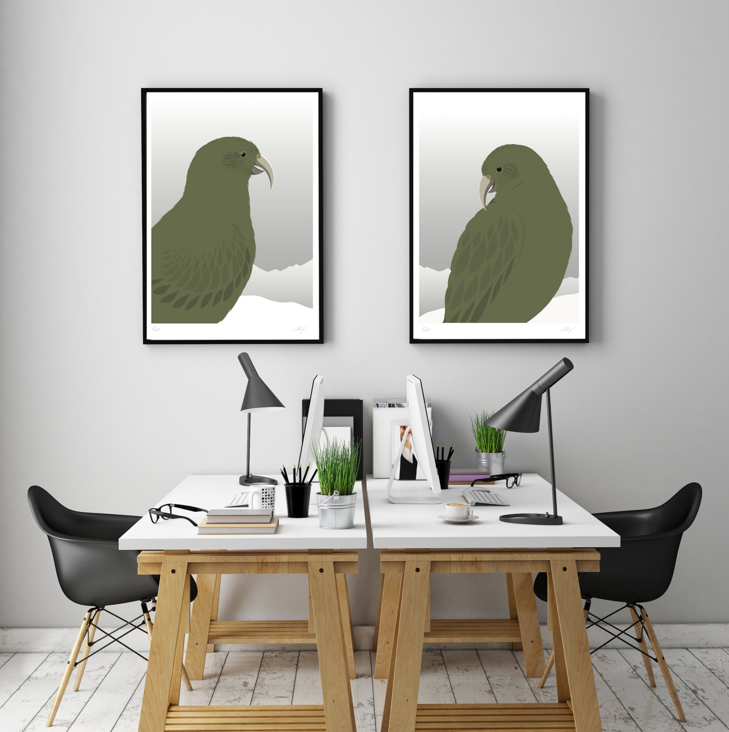 Framed prints of the Kea bird of New Zealand, by Hansby Design