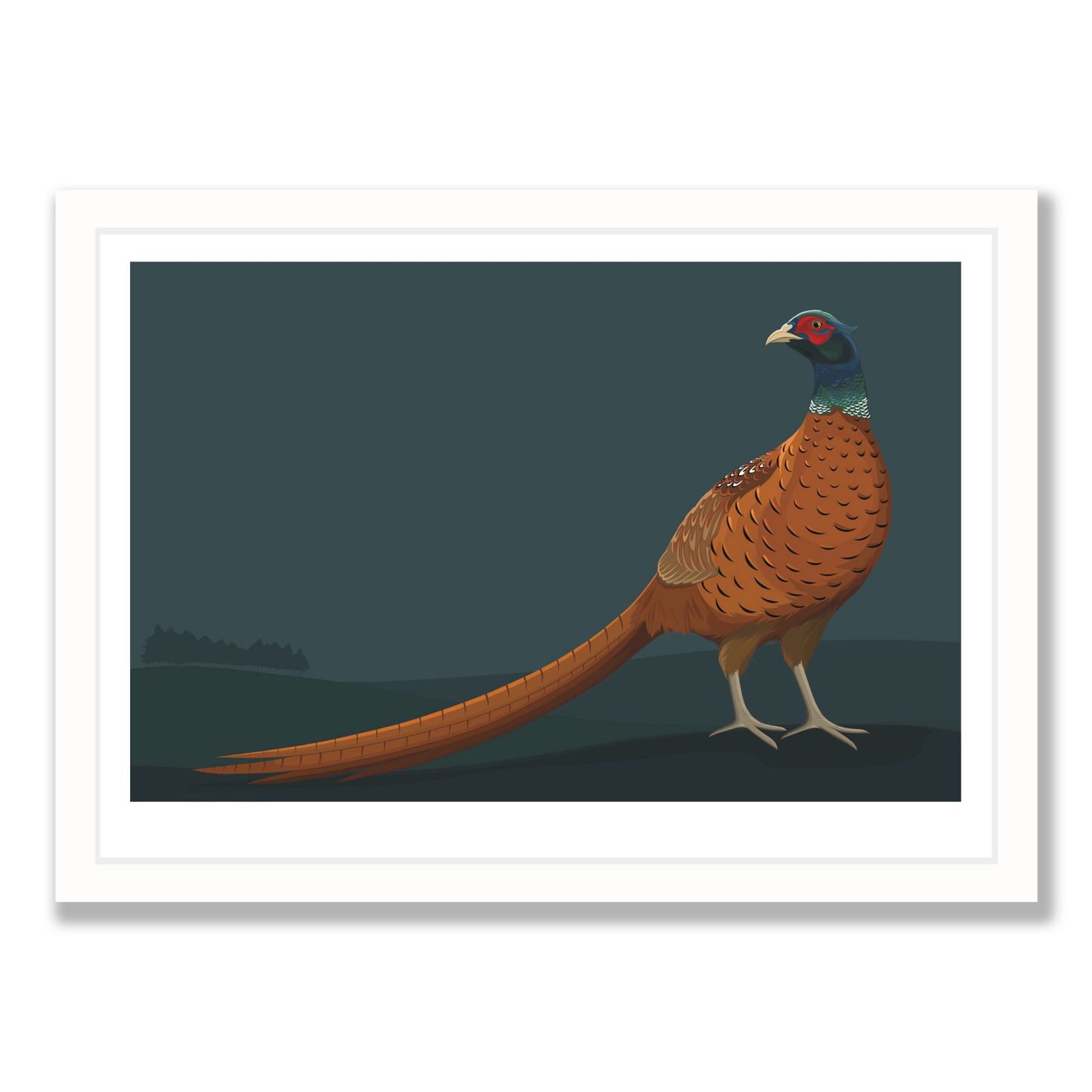 Limited Edition Pheasant art print in white frame, by NZ artist Hansby Design