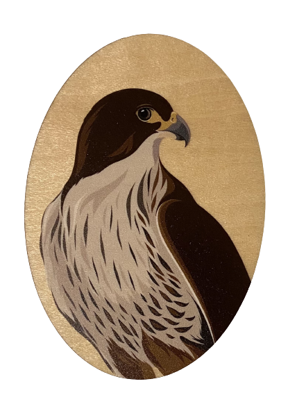 Falcon Wood Magnet art print by New Zealand artist Hansby Design