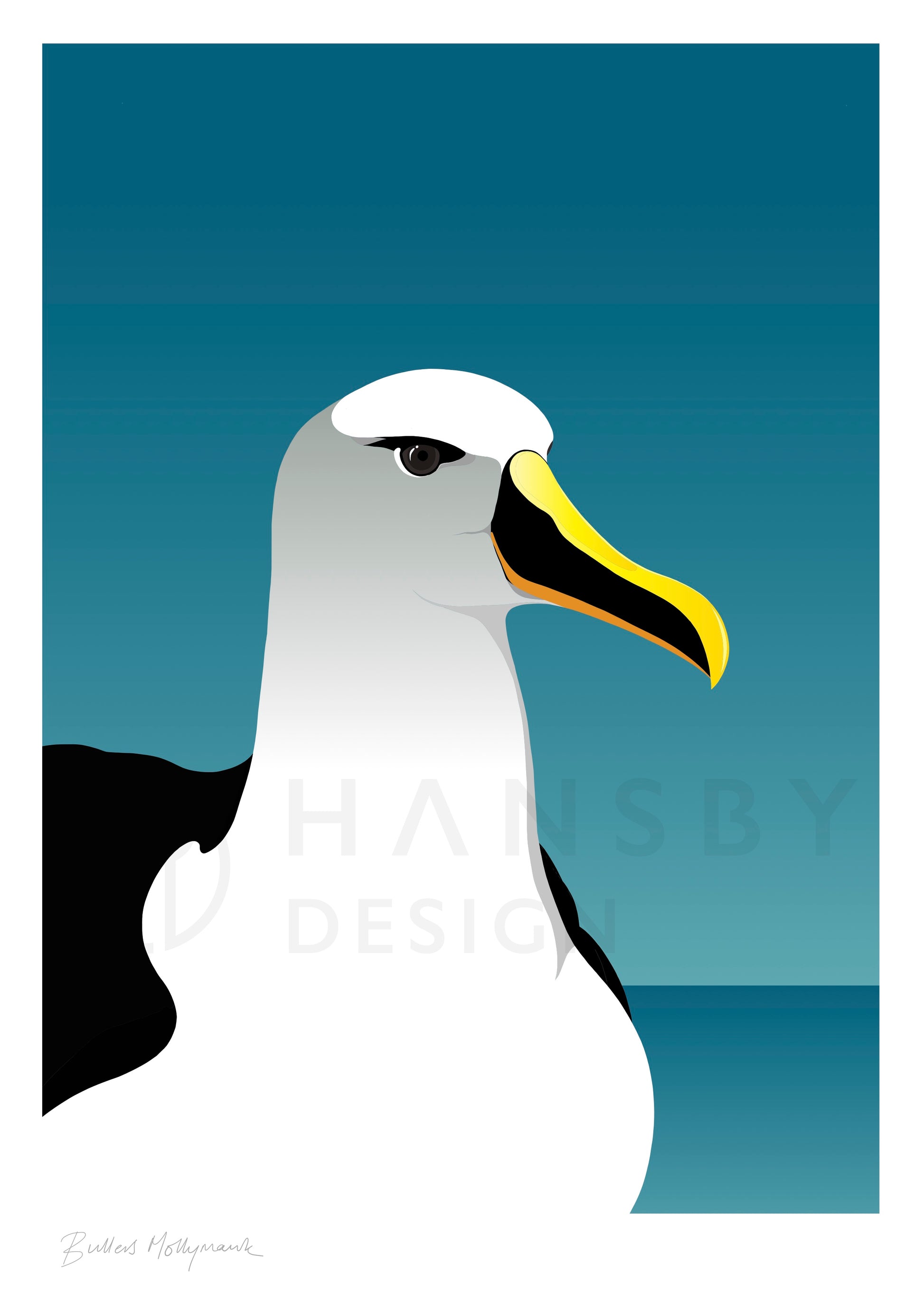 Art Print of Mollymawk Albatross, New Zealand seabird, by Hansby Design  