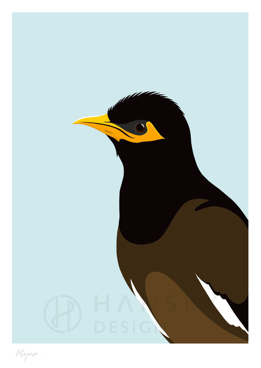 Minimal art print of the Myna bird by Hansby Design, New Zealand