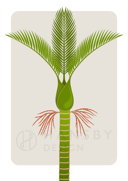 Nikau art print by New Zealand artist Hansby Design