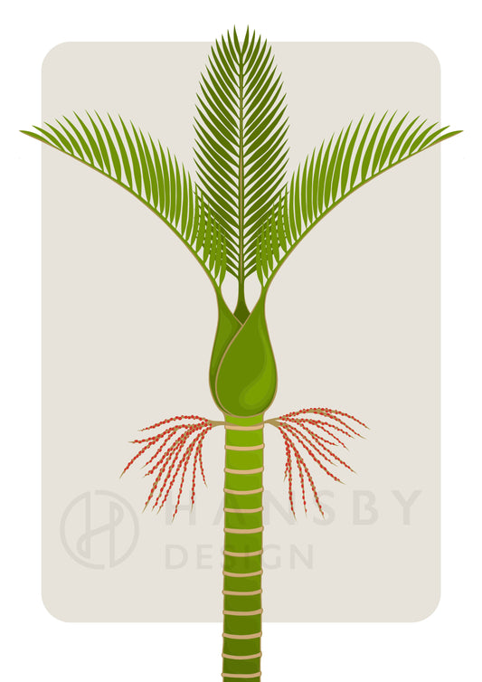 Nikau art print by New Zealand artist Hansby Design