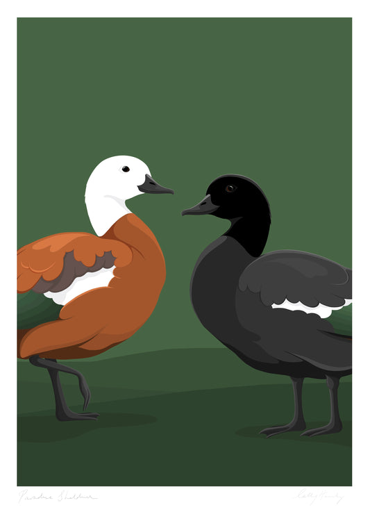 Paradise Shelduck art print by New Zealand artist Hansby Design