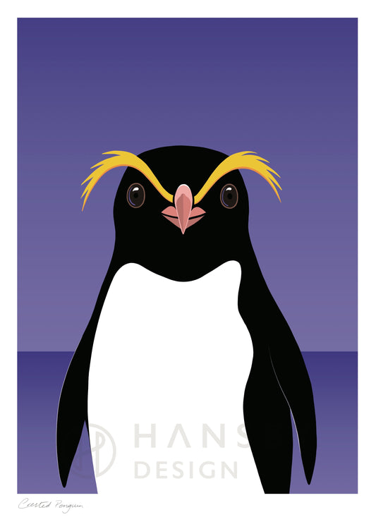 Art print of the Crested Penguin seabird of New Zealand by Hansby Design