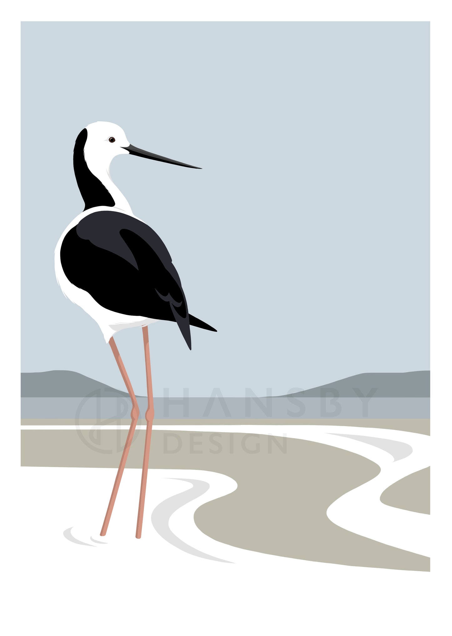 Art print of the Pied Stilt, Poaka, by Hansby Design, New Zealand