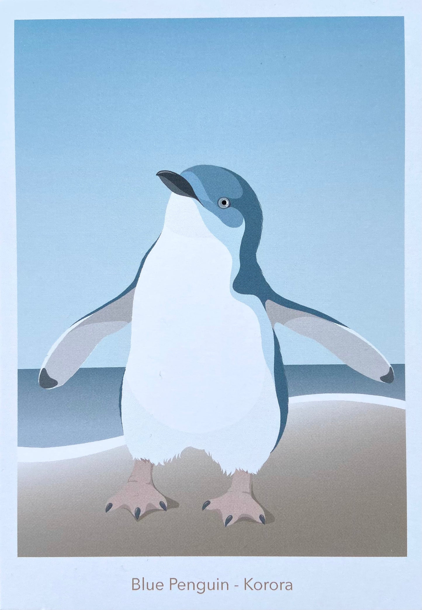 Blue Penguin Postcard art print, by NZ artist Hansby Design