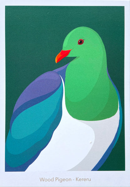 Wood Pigeon Postcard art print, by NZ artist Hansby Design