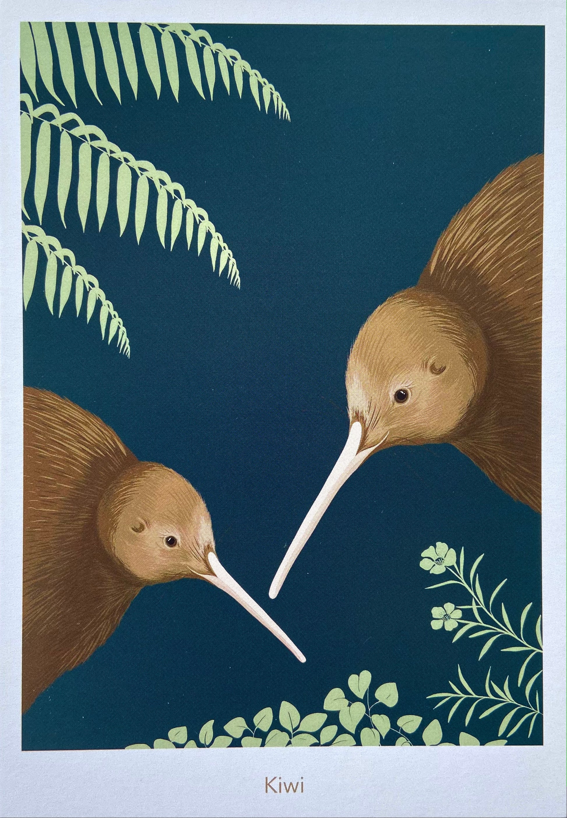 Kiwi Postcard art print, by NZ artist Hansby Design