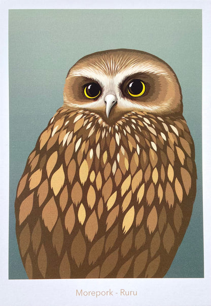 Morepork - Ruru Postcard art print, by NZ artist Hansby Design