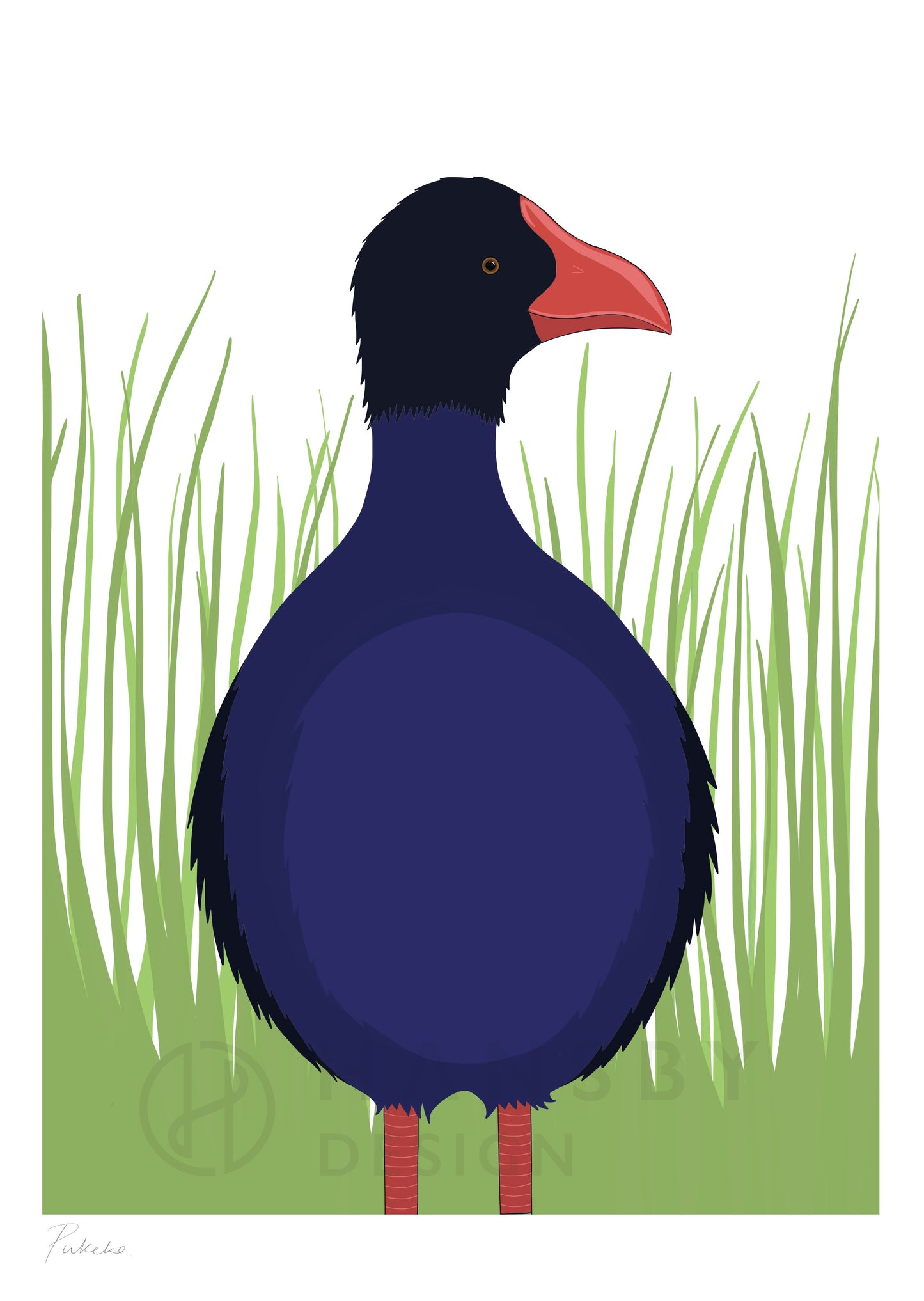 Art print of the Pukeko bird, by Hansby Design New Zealand