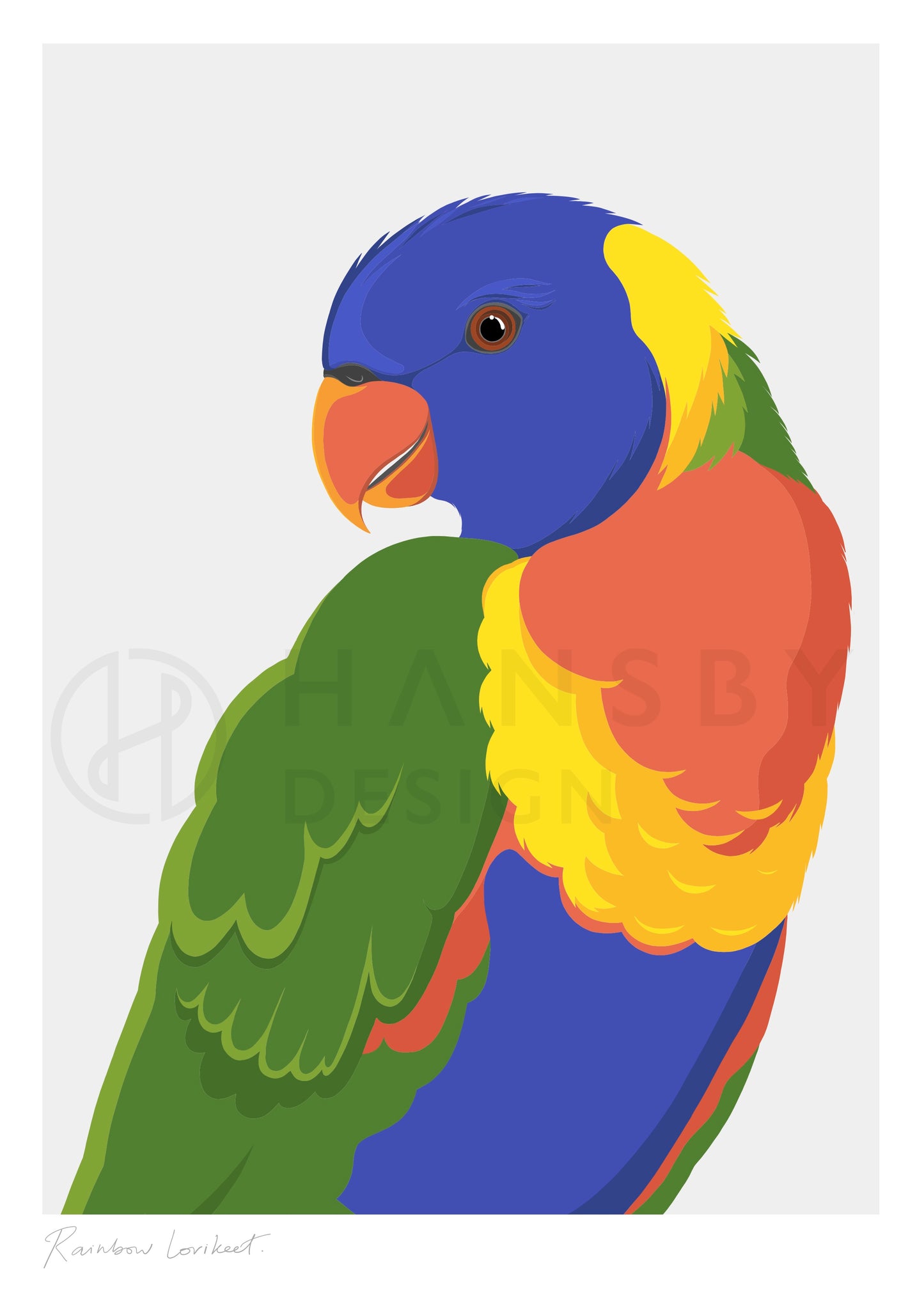 Art print of the Rainbow Lorikeet bird by Hansby Design, New Zealand 