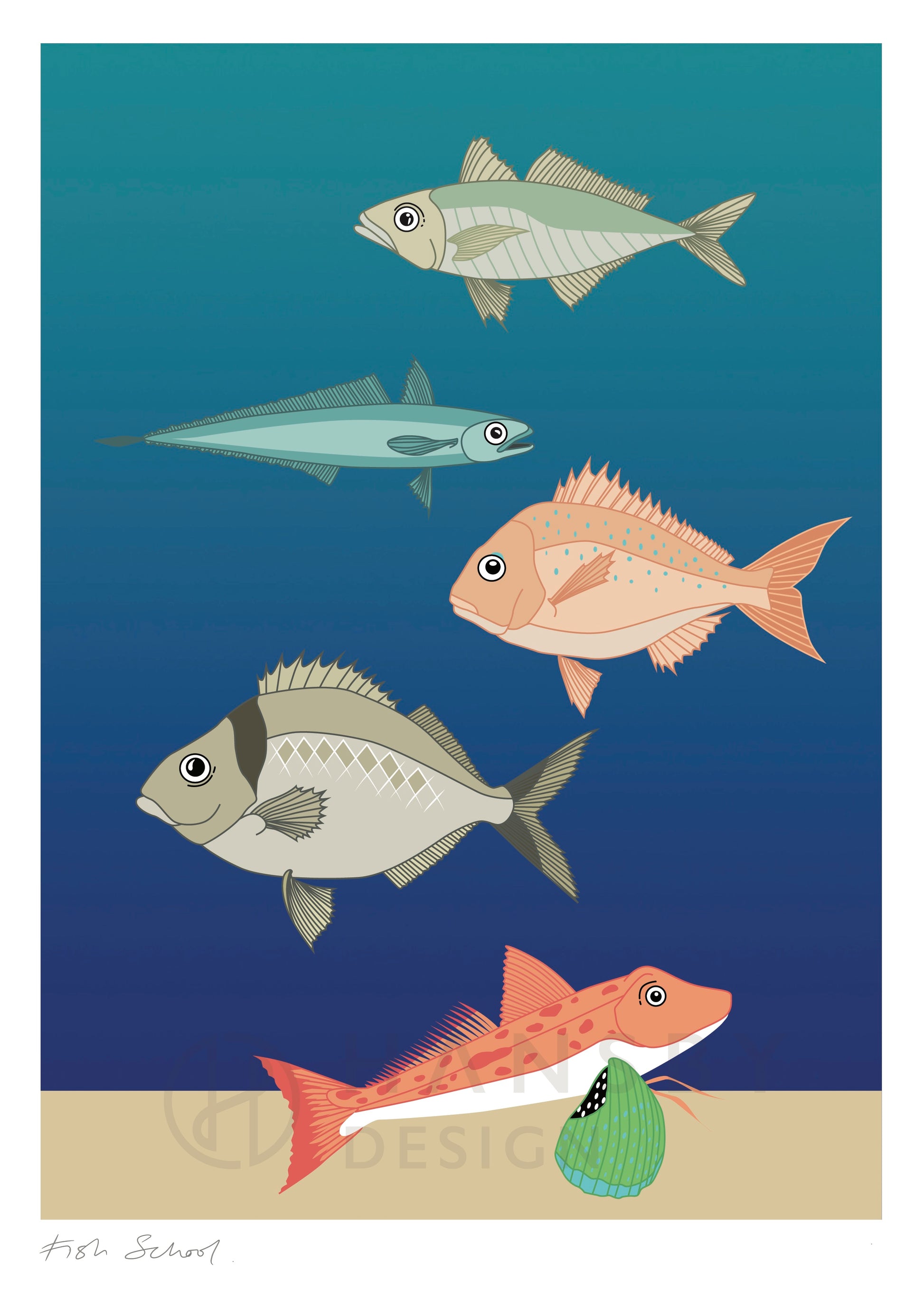 Art print of New Zealand fish by Hansby Design, titled Fish School
