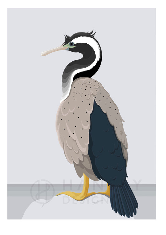 Spotted Shag art print by New Zealand artist Hansby Design
