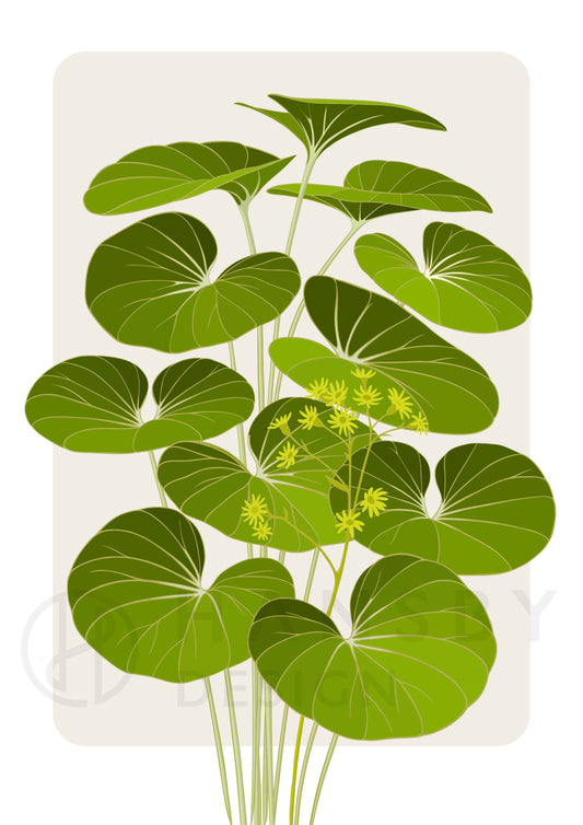 Tractor Seat Plant art print by New Zealand artist Hansby Design