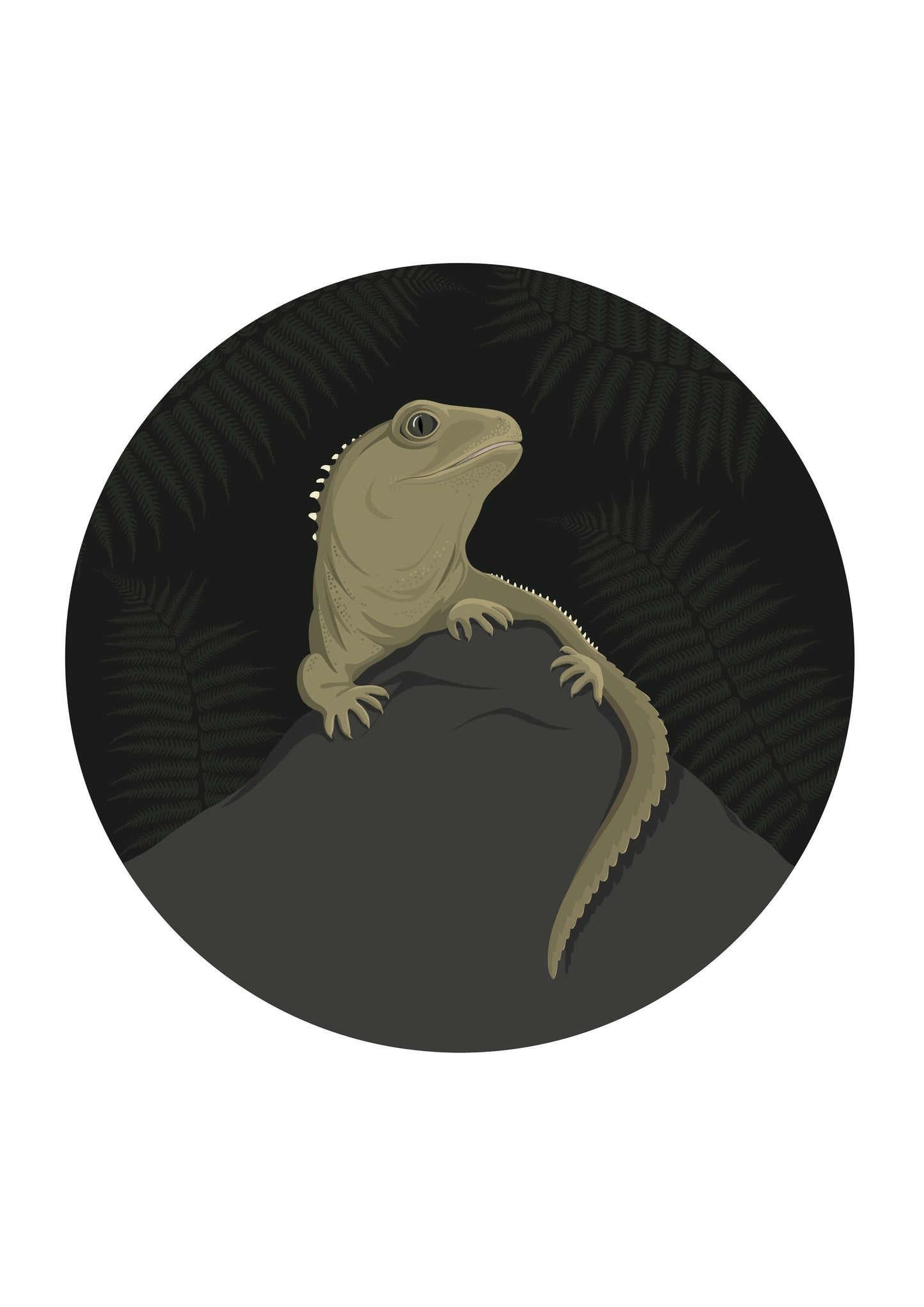 Art spot, wall decal of the Tuatara, New Zealand wildlife