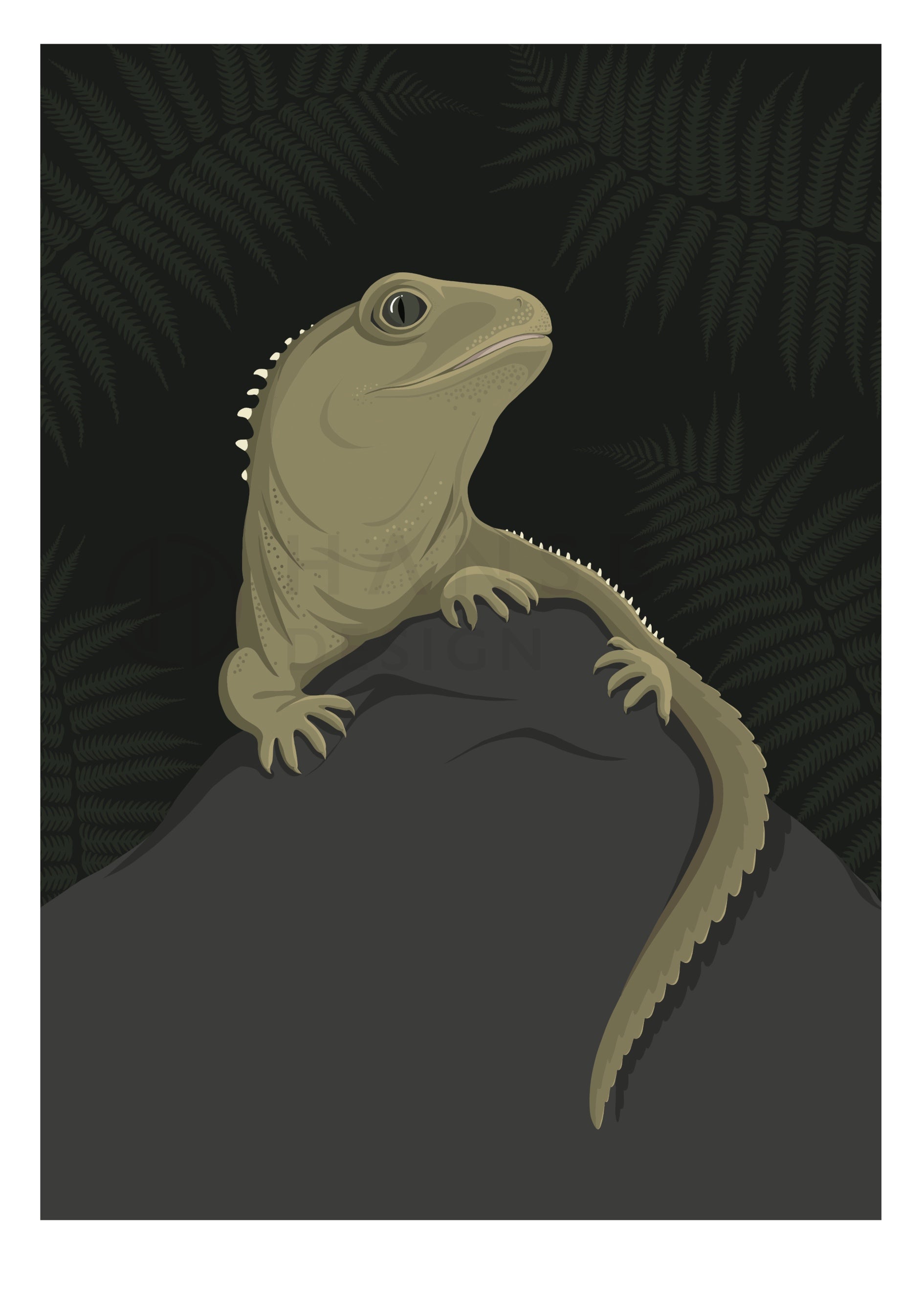 Art print of the New Zealand Tuatara lizard, by Hansby Design 