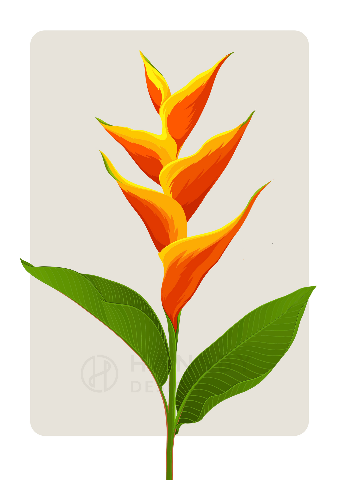 Art print of the Heliconia tropical flower by New Zealand artist Hansby Design.