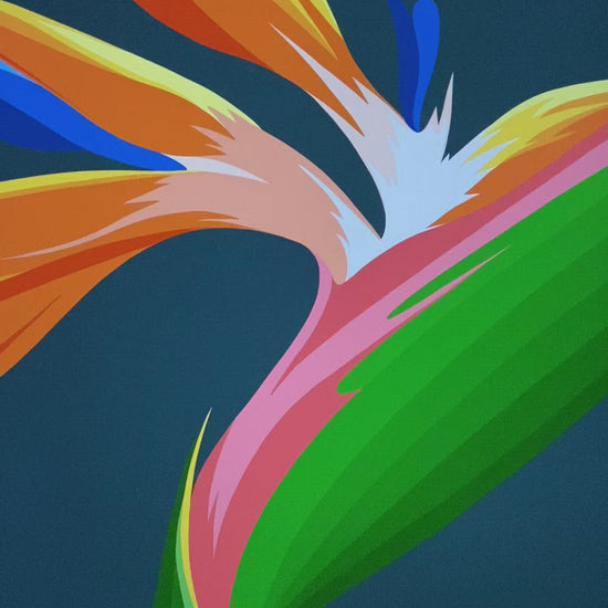 Video showing detail from the Bird of Paradise art print by Hansby Design, NZ artist.