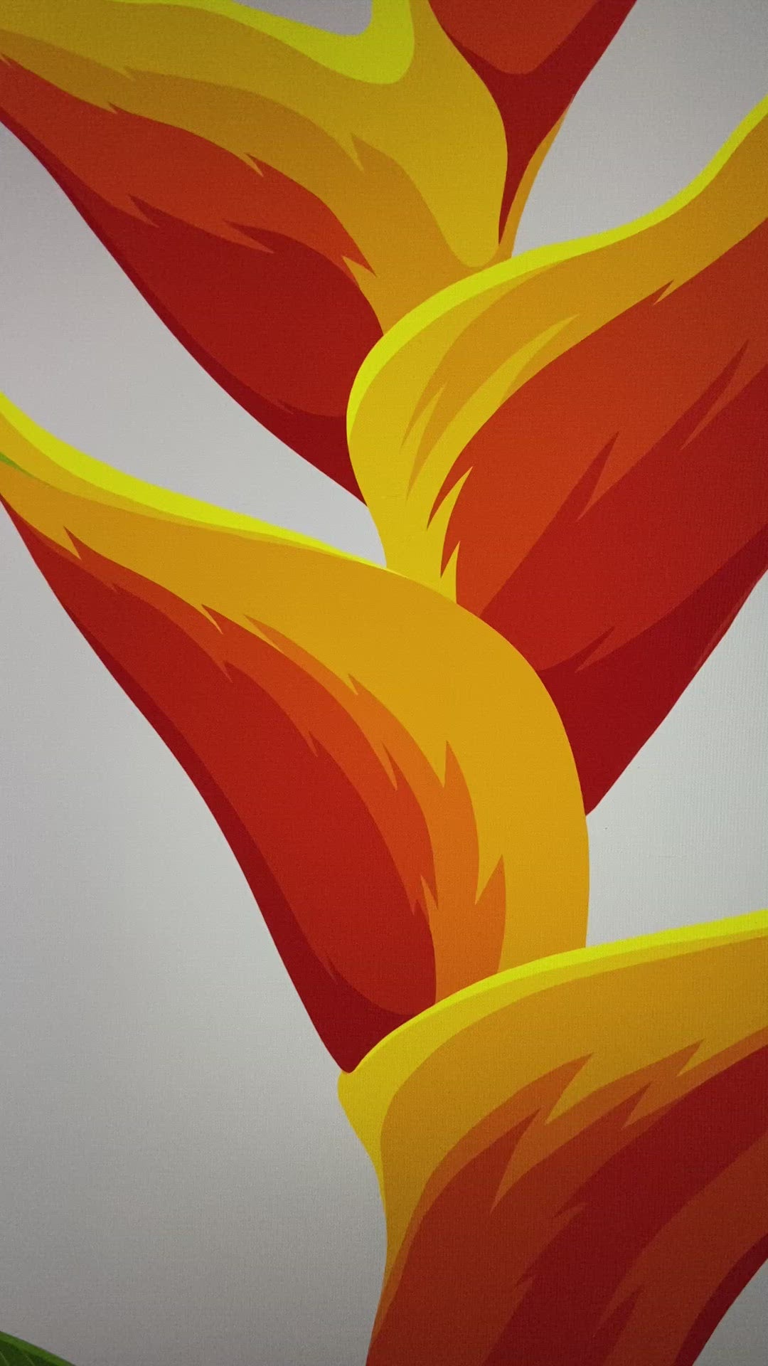 Video showing details of the Heliconia art print by New Zealand artist, Hansby Design.