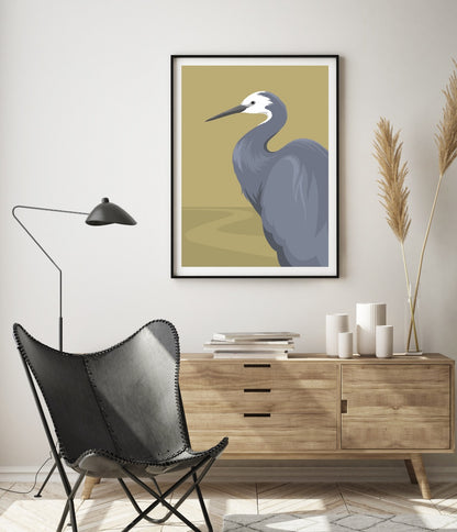 Framed fine art print of Matuku, the White faced heron, by artist Hansby Design New Zealand
