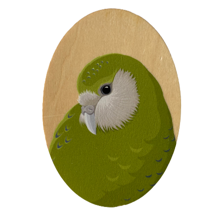 Kakapo Wood Magnet art print by New Zealand artist Hansby Design