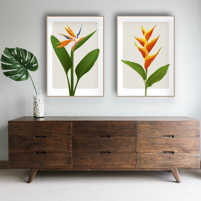 Lifestyle image of the Bird of Paradise art print - ink, by NZ artist Hansby Design