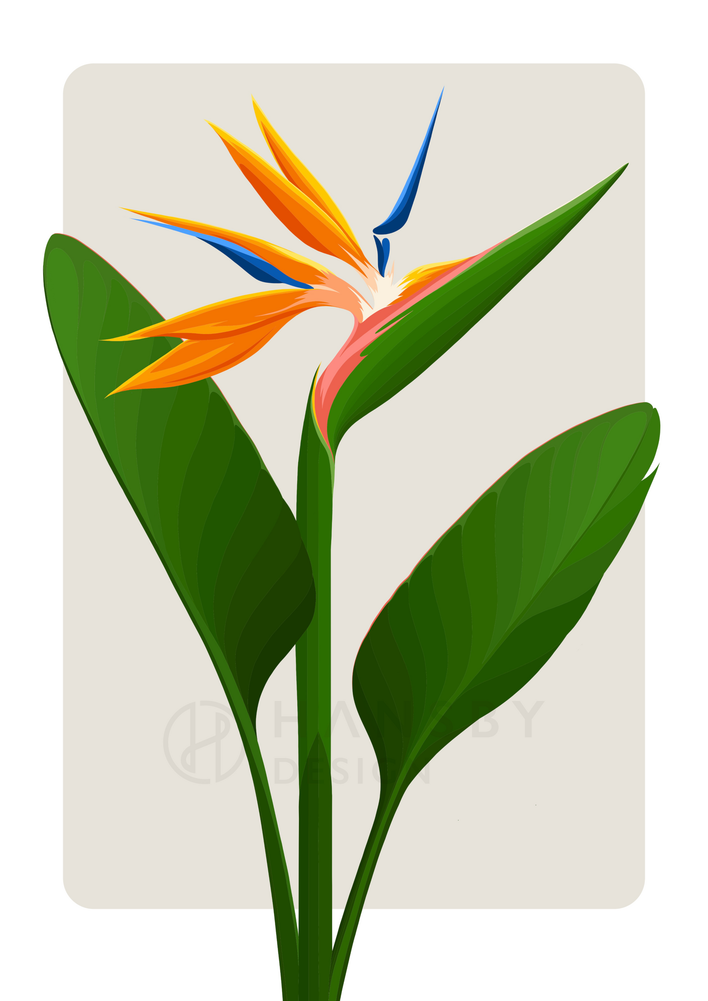 Bird of Paradise art print - almond in white frame, by NZ artist Hansby Design